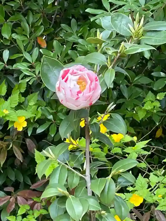 城南宮(京都府)