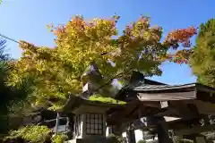 鹿島大神宮の自然