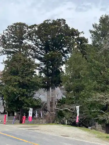 高司神社〜むすびの神の鎮まる社〜(福島県)