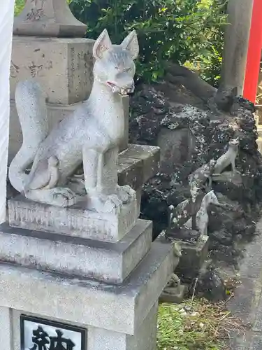 天明稲荷神社の狛犬