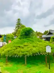 大聖寺（土浦大師不動尊）の庭園