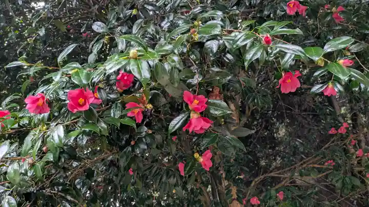 靈山寺(霊山寺)(大阪府)