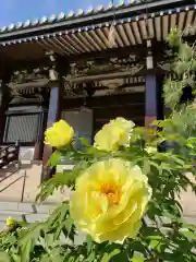 圓照寺の自然