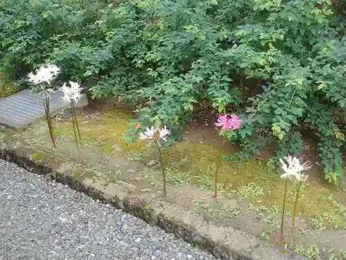 横浜　西方寺の自然