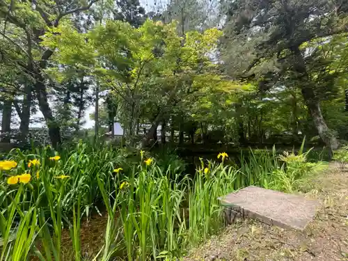 中尊寺(岩手県)