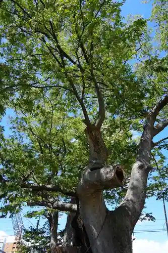 阿邪訶根神社(福島県)