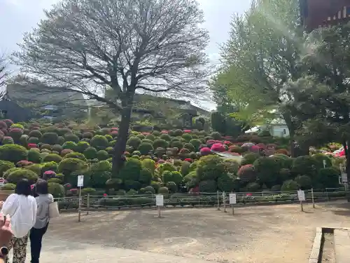 根津神社の{uncategorized: "未分類", other: "その他", undefined: "問題あり", building: "その他建物", grave: "お墓", sacred_gate: "鳥居", guardian: "狛犬", statue: "像", buddha: "仏像", history: "歴史", nature: "自然", garden: "庭園", animal: "動物", pagoda: "塔", temizu: "手水舎", mountain_gate: "山門・神門", sanctuary: "本殿・本堂", subordinate: "末社・摂社", art: "芸術", scenery: "景色", jizo: "地蔵", ema: "絵馬", goshuin: "御朱印", omikuji: "おみくじ", items: "授与品その他", amulet: "お守り", goshuincho: "御朱印帳", eats: "食事", festival: "お祭り", votive_dance: "神楽", shichigosan: "七五三参", wedding: "結婚式", experience: "体験その他", initially: "初詣", around: "周辺", anti_infection: "感染症対策"}