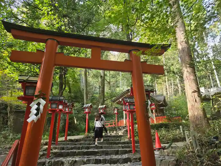 貴船神社結社(京都府)