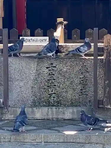 壬生寺(京都府)