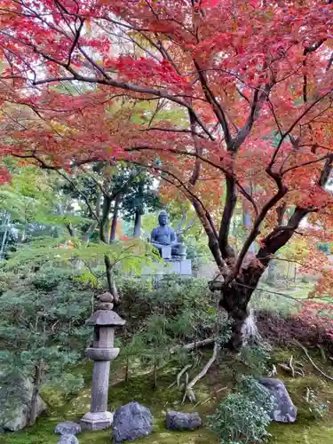 榮攝院（栄摂院）の庭園