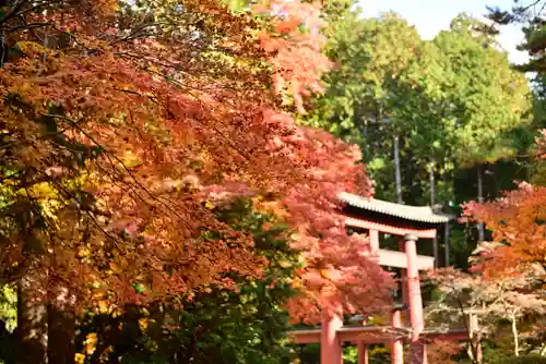 北口本宮冨士浅間神社(山梨県)