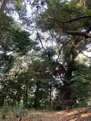 畑子安神社の周辺