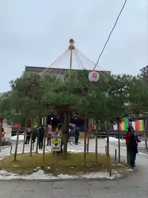 中尊寺(岩手県)