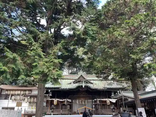 調神社の本殿・本堂
