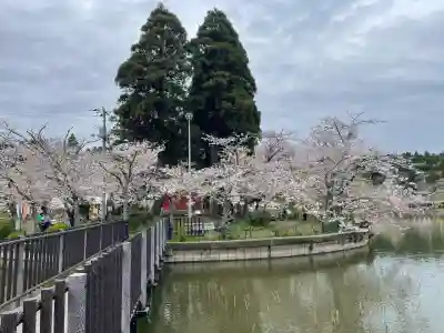 厳島神社　谷弁財天の{uncategorized: "未分類", other: "その他", undefined: "問題あり", building: "その他建物", grave: "お墓", sacred_gate: "鳥居", guardian: "狛犬", statue: "像", buddha: "仏像", history: "歴史", nature: "自然", garden: "庭園", animal: "動物", pagoda: "塔", temizu: "手水舎", mountain_gate: "山門・神門", sanctuary: "本殿・本堂", subordinate: "末社・摂社", art: "芸術", scenery: "景色", jizo: "地蔵", ema: "絵馬", goshuin: "御朱印", omikuji: "おみくじ", items: "授与品その他", amulet: "お守り", goshuincho: "御朱印帳", eats: "食事", festival: "お祭り", votive_dance: "神楽", shichigosan: "七五三参", wedding: "結婚式", experience: "体験その他", initially: "初詣", around: "周辺", anti_infection: "感染症対策"}