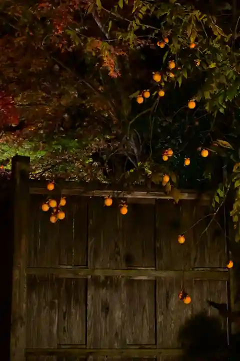 善水寺(滋賀県)