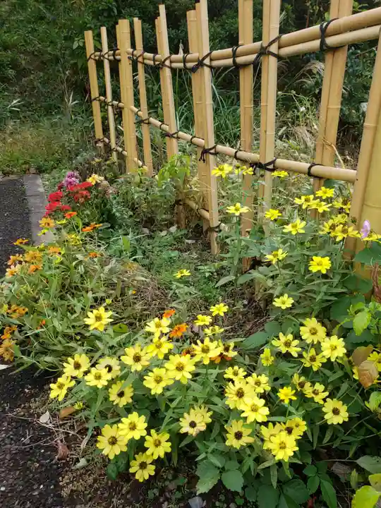 白金氷川神社(東京都)