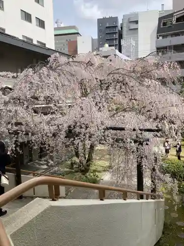 普門寺(広島県)