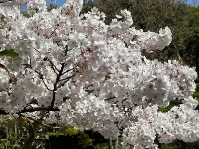 法金剛院(京都府)