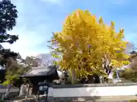 花井寺(愛知県)