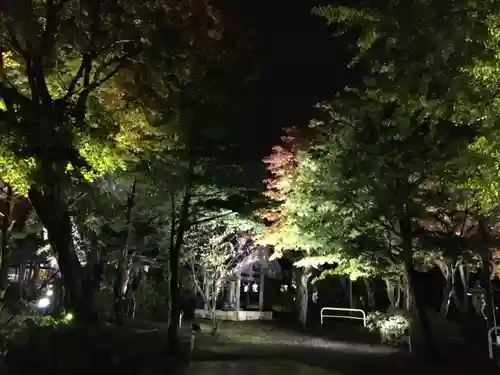 北広島市総鎮守　廣島神社の自然