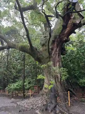 月夜見宮（豊受大神宮別宮）(三重県)
