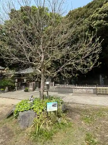 瀧泉寺（目黒不動尊）(東京都)