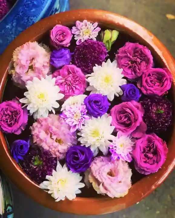 札幌護國神社の手水舎