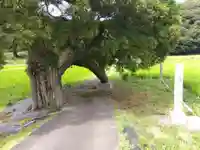 春日神社(福井県)