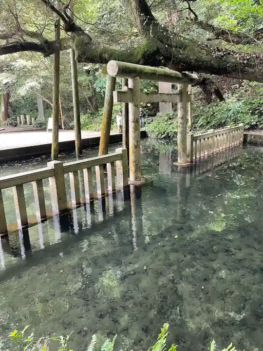 鹿島神宮(茨城県)