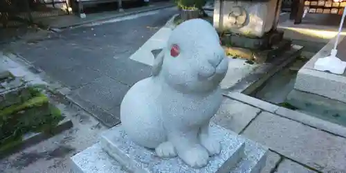 岡崎神社の狛犬