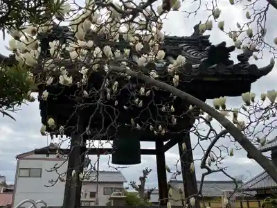 金躰寺(奈良県)