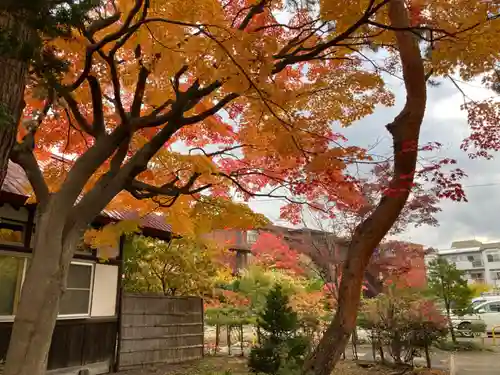 札幌護國神社の景色