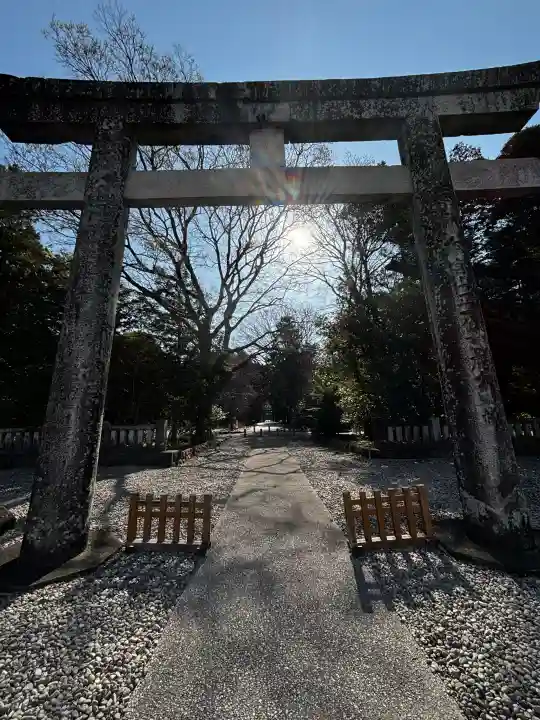 砥鹿神社(里宮)の{uncategorized: "未分類", other: "その他", undefined: "問題あり", building: "その他建物", grave: "お墓", sacred_gate: "鳥居", guardian: "狛犬", statue: "像", buddha: "仏像", history: "歴史", nature: "自然", garden: "庭園", animal: "動物", pagoda: "塔", temizu: "手水舎", mountain_gate: "山門・神門", sanctuary: "本殿・本堂", subordinate: "末社・摂社", art: "芸術", scenery: "景色", jizo: "地蔵", ema: "絵馬", goshuin: "御朱印", omikuji: "おみくじ", items: "授与品その他", amulet: "お守り", goshuincho: "御朱印帳", eats: "食事", festival: "お祭り", votive_dance: "神楽", shichigosan: "七五三参", wedding: "結婚式", experience: "体験その他", initially: "初詣", around: "周辺", anti_infection: "感染症対策"}