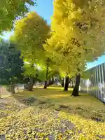 龍泉寺 (福居町)(栃木県)