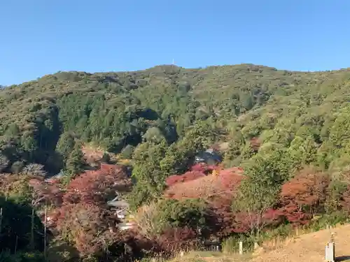 普門寺(切り絵御朱印発祥の寺)の景色