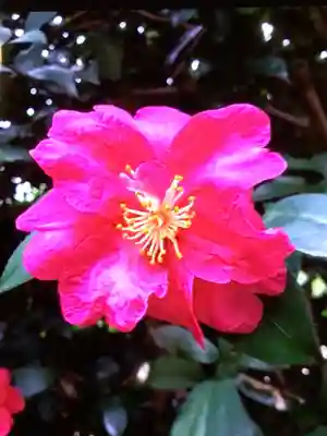 高円寺(東京都)