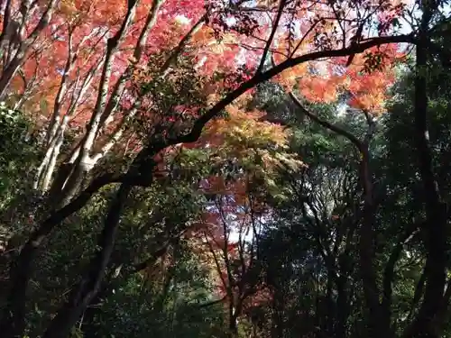 龍尾寺の自然