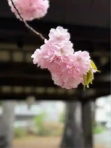 信濃神社(北海道)