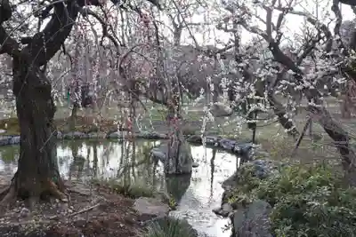 北野天満宮(京都府)
