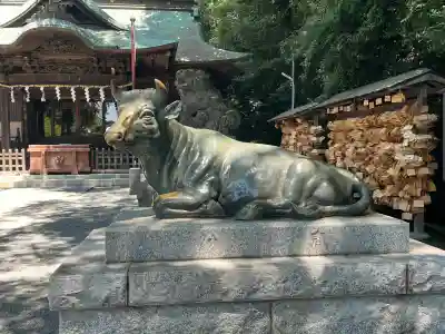 谷保天満宮(東京都)