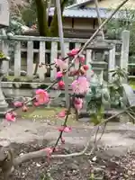 北野天満宮(京都府)