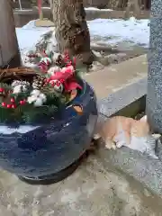 正一位 若草稲荷神社(宮城県)