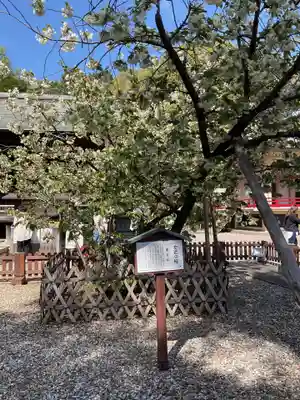 上地八幡宮(愛知県)