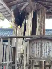 泉神社(茨城県)