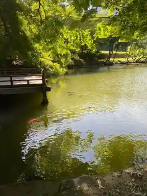 高鴨神社(奈良県)