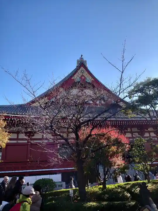 浅草寺の本殿・本堂
