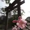 豊山八幡神社(福岡県)