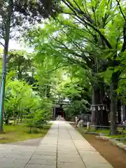 赤坂氷川神社の建物その他