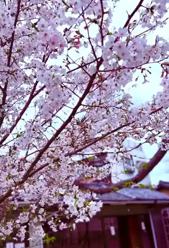 別小江神社の{uncategorized: "未分類", other: "その他", undefined: "問題あり", building: "その他建物", grave: "お墓", sacred_gate: "鳥居", guardian: "狛犬", statue: "像", buddha: "仏像", history: "歴史", nature: "自然", garden: "庭園", animal: "動物", pagoda: "塔", temizu: "手水舎", mountain_gate: "山門・神門", sanctuary: "本殿・本堂", subordinate: "末社・摂社", art: "芸術", scenery: "景色", jizo: "地蔵", ema: "絵馬", goshuin: "御朱印", omikuji: "おみくじ", items: "授与品その他", amulet: "お守り", goshuincho: "御朱印帳", eats: "食事", festival: "お祭り", votive_dance: "神楽", shichigosan: "七五三参", wedding: "結婚式", experience: "体験その他", initially: "初詣", around: "周辺", anti_infection: "感染症対策"}